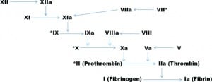 theorie der wirtschaftlichen entwicklung