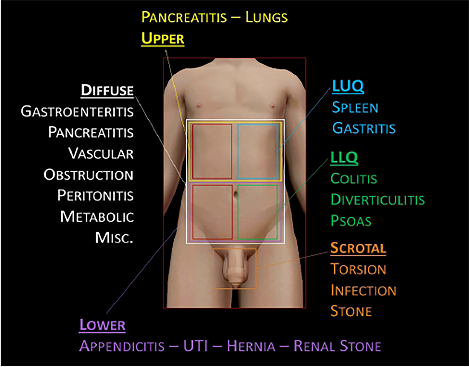 Left groin area showing scar of varicocelectomy (short arrow) and