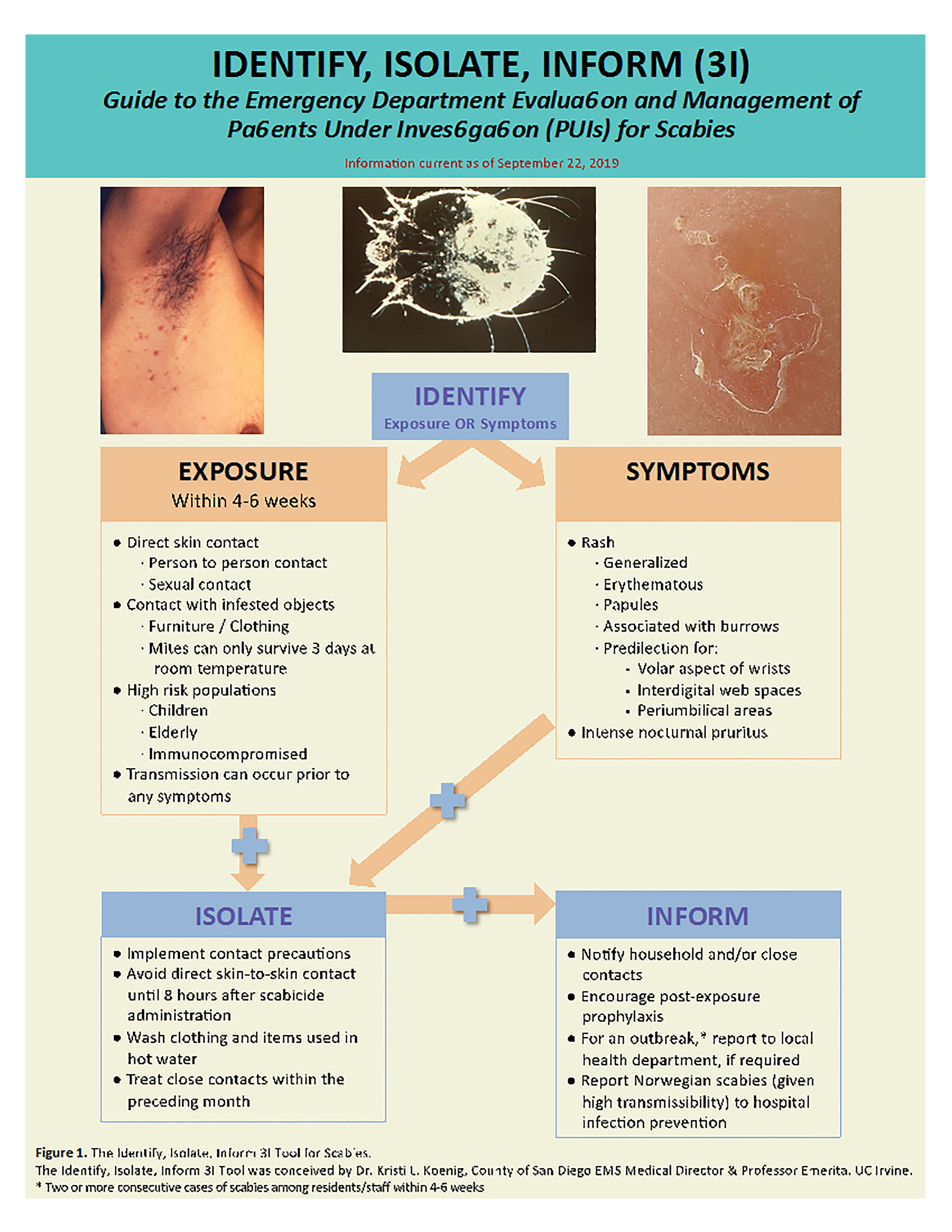 Scabies: Causes, Symptoms, Diagnosis, Treatment & Prevention