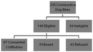Figure 2. CONSORT diagram for the randomized control trial on the use of prophylactic antibiotics for dog bites