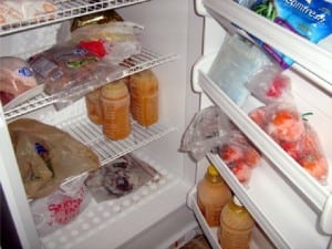 Figure 1. Home canned and processed goods in various stages of spoilage.