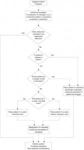 Figure. Recommended seclusion and restraint algorithm.