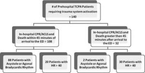 Figure 1. Breakdown of patient population based on survival time.