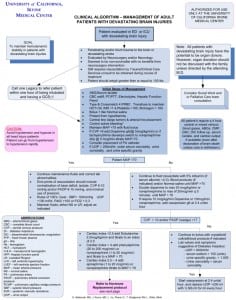 Figure 1. University of California Irvine Medical Center Devastating Brain Injury Pathway