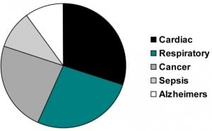 Figure Causes of death reported on the 30 death certificates.
