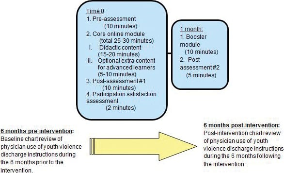 Effects of a Web-based Educational Module on Pediatric Emergency Medicine Physicians’ Knowledge, Attitudes, and Behaviors Regarding Youth Violence