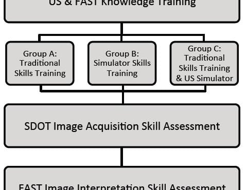 Disaster Response Team FAST Skills Training with a Portable Ultrasound Simulator Compared to Traditional Training: Pilot Study