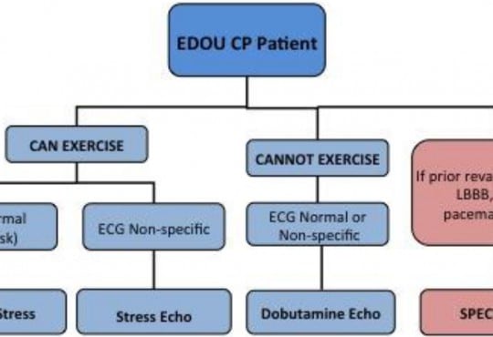 Reduction in Radiation Exposure through a Stress Test Algorithm in an Emergency Department Observation Unit